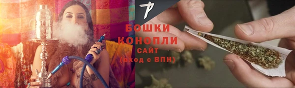твердый Протвино
