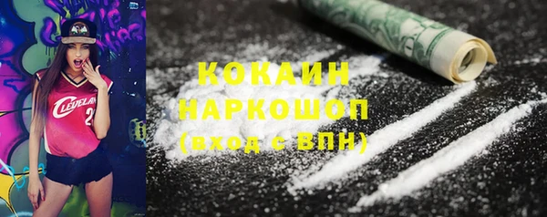 шишки Алексеевка